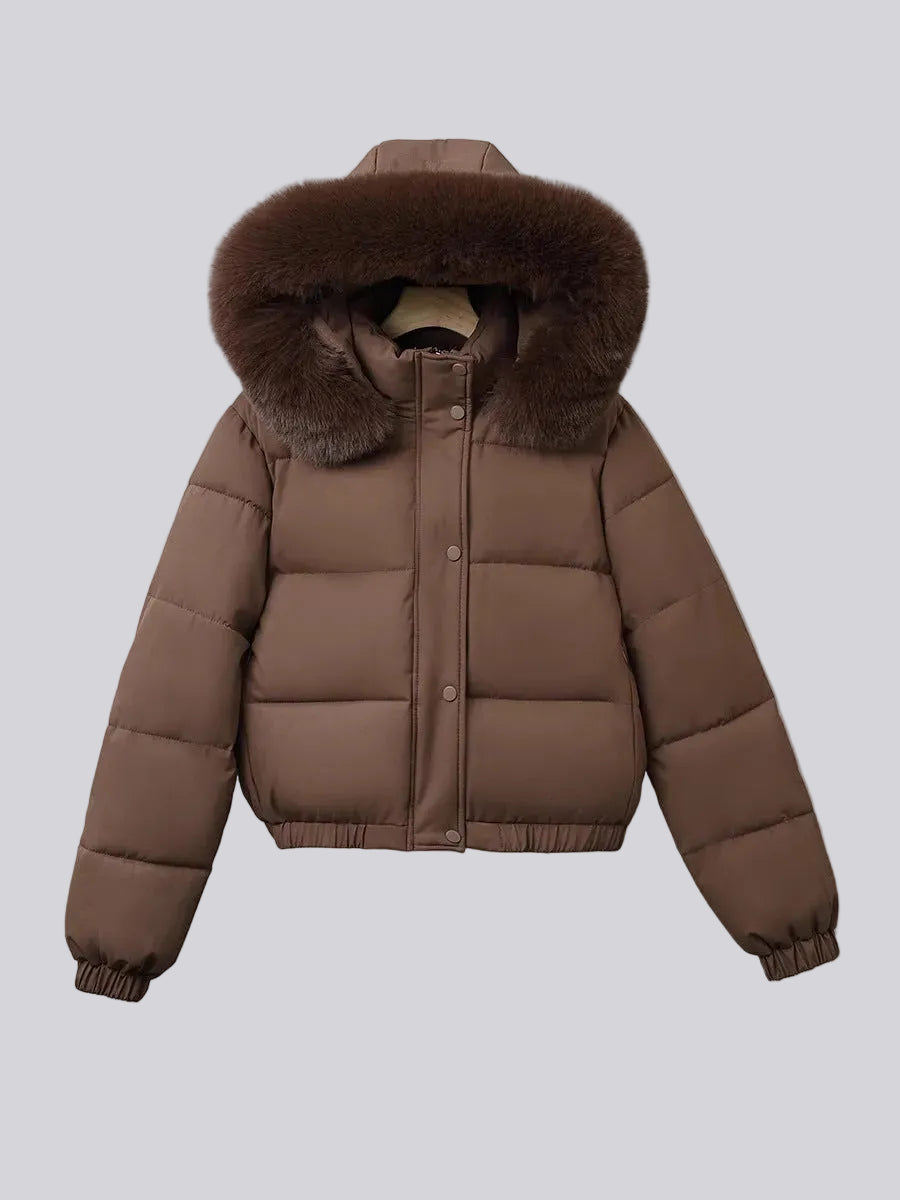 Women's Cropped Puffer Winter Jacket