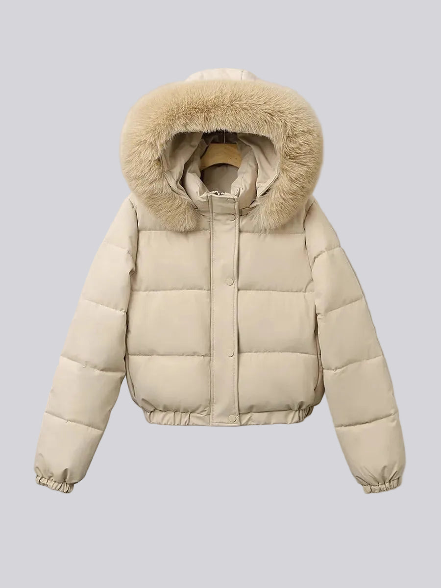 Women's Cropped Puffer Winter Jacket
