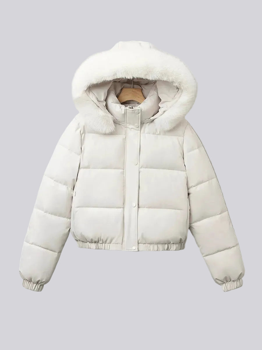 Women's Cropped Puffer Winter Jacket